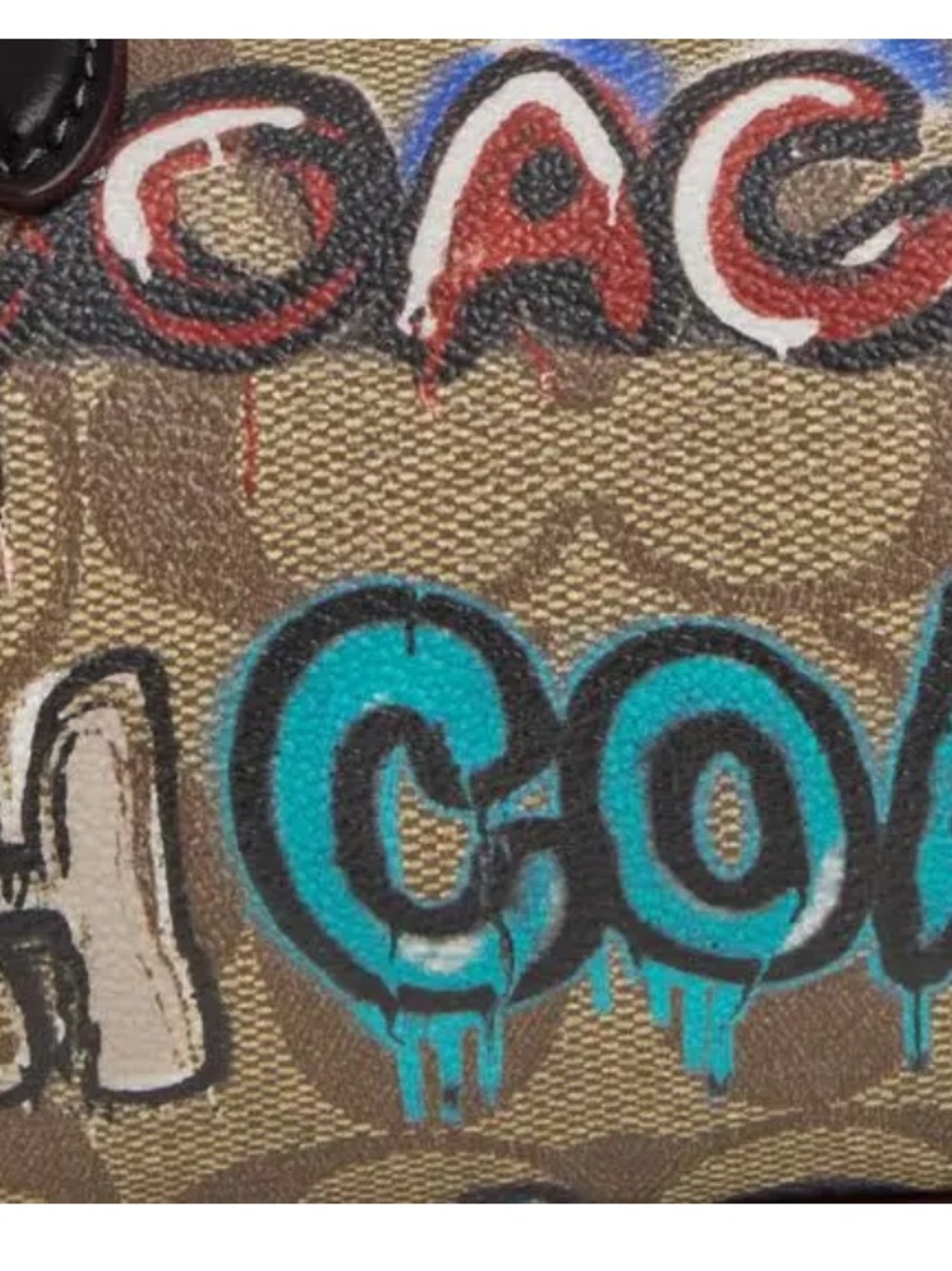Coach x Mint + Serf Lacey Crossbody Purse in Signature Canvas Khaki Multi - Picture 14 of 14
